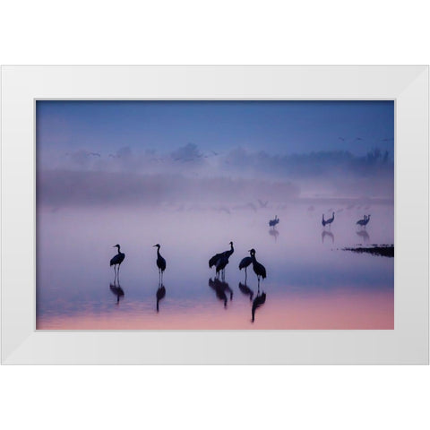 Enchanted Serenity White Modern Wood Framed Art Print by Meizner