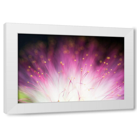 Elfin White Modern Wood Framed Art Print by Lionse, Art