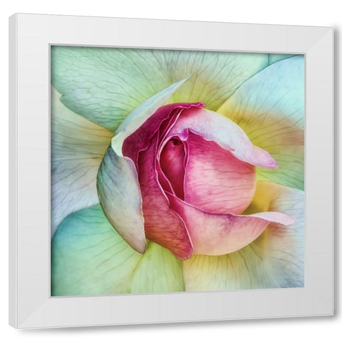 La vie en rose White Modern Wood Framed Art Print by Flour, Piet