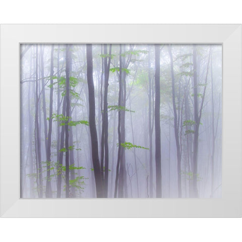 Misty White Modern Wood Framed Art Print by Manzoni, Michel