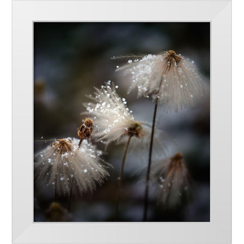 The new dress White Modern Wood Framed Art Print by Dou, Shenshen