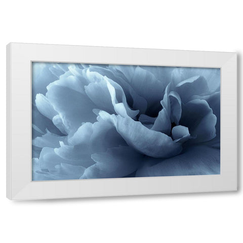 Peony petal abstract White Modern Wood Framed Art Print by Gronkjar, Lotte