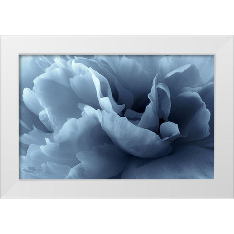 Peony petal abstract White Modern Wood Framed Art Print by Gronkjar, Lotte