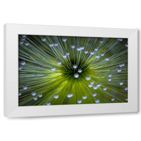 Inverted Commas White Modern Wood Framed Art Print by Faber, Wave