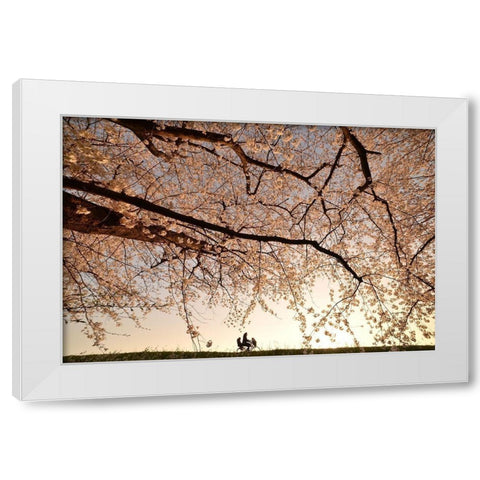 Way Back White Modern Wood Framed Art Print by Takanobu Kano