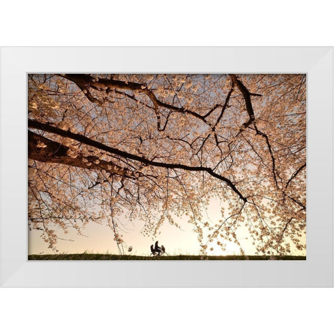 Way Back White Modern Wood Framed Art Print by Takanobu Kano