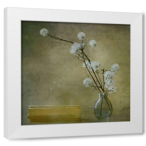 Books White Modern Wood Framed Art Print by Devos, Delphine