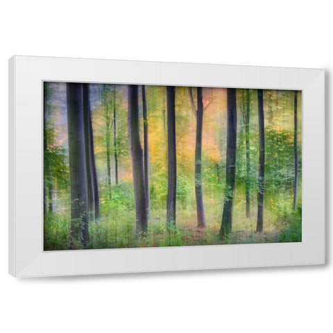Dreamy White Modern Wood Framed Art Print by Jochen, Burger