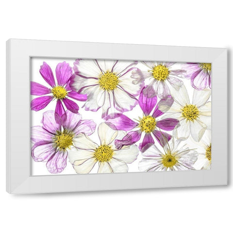 Keeping Summer White Modern Wood Framed Art Print by Disher, Mandy