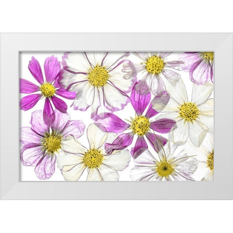 Keeping Summer White Modern Wood Framed Art Print by Disher, Mandy