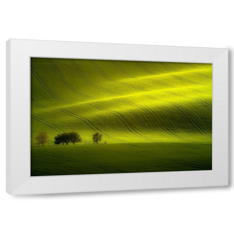 Sunlight White Modern Wood Framed Art Print by Banny, Peter