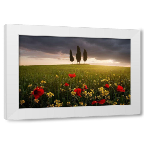 Blooming Tuscany White Modern Wood Framed Art Print by Rericha, Daniel