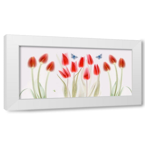Triptych White Modern Wood Framed Art Print by Haslam, Brian
