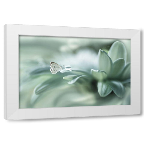 Bola ajaib White Modern Wood Framed Art Print by Setiawan, Arief