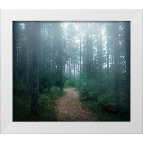 The forest of secrets White Modern Wood Framed Art Print by Lindsten, Christian