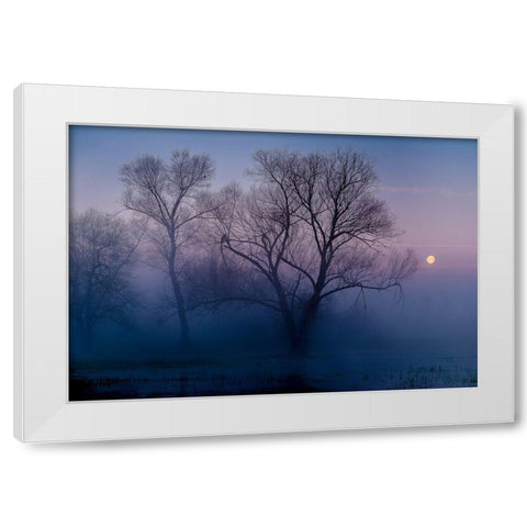Another new day White Modern Wood Framed Art Print by Agazzi, Andreas