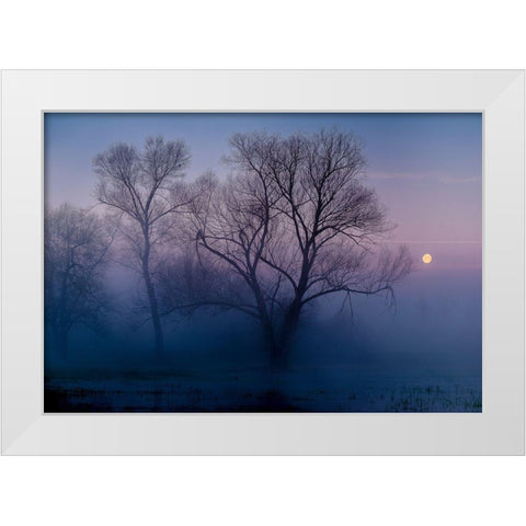 Another new day White Modern Wood Framed Art Print by Agazzi, Andreas