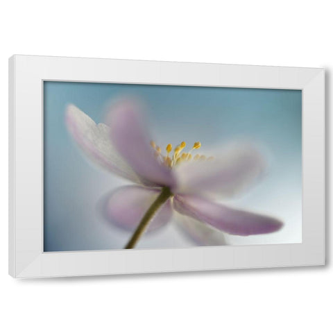 Against the sky White Modern Wood Framed Art Print by Westum, Heidi