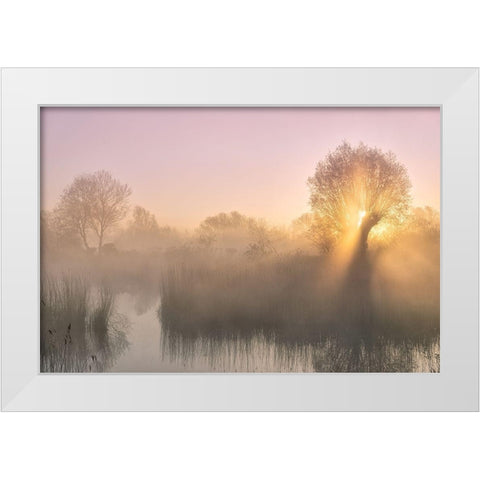 Silence White Modern Wood Framed Art Print by Borggreve, Ellen