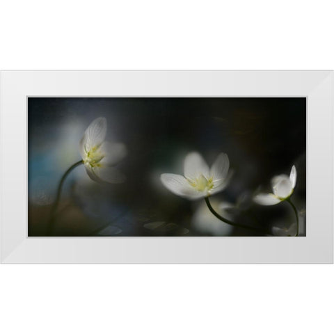 Light in the darkness White Modern Wood Framed Art Print by Westum, Heidi