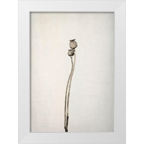 Two old poppies White Modern Wood Framed Art Print by Gronkjar, Lotte