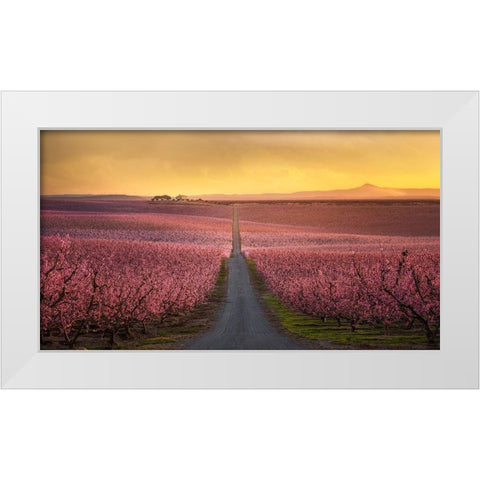 Flowering White Modern Wood Framed Art Print by Guerola, Joaquin