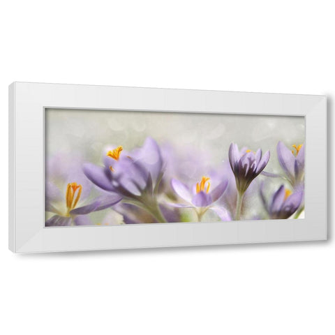 Spring flowers White Modern Wood Framed Art Print by Westum, Heidi