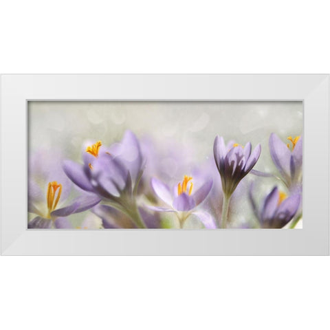 Spring flowers White Modern Wood Framed Art Print by Westum, Heidi