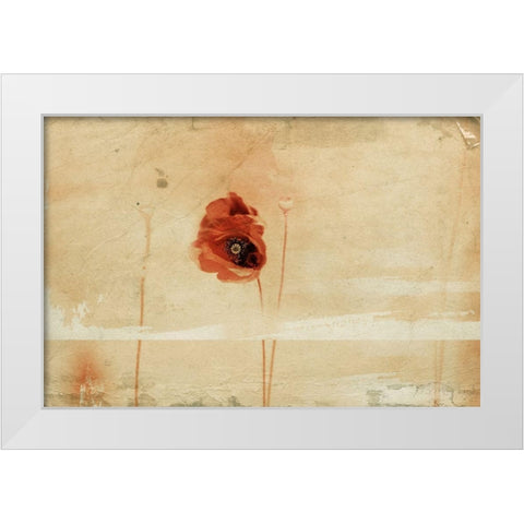 fragment White Modern Wood Framed Art Print by Ignatova, Desislava