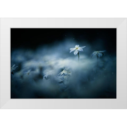 Spring glow White Modern Wood Framed Art Print by Suzuki, Takashi