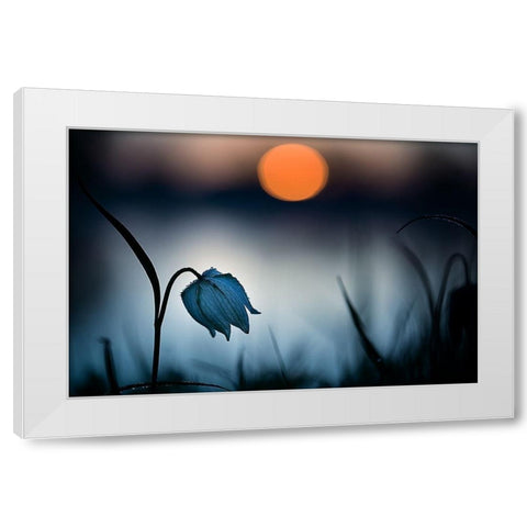 Rising sun White Modern Wood Framed Art Print by Mijer, Wil