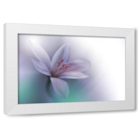 Beyond White Modern Wood Framed Art Print by Nan, Juliana