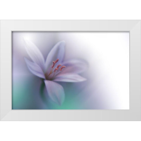 Beyond White Modern Wood Framed Art Print by Nan, Juliana