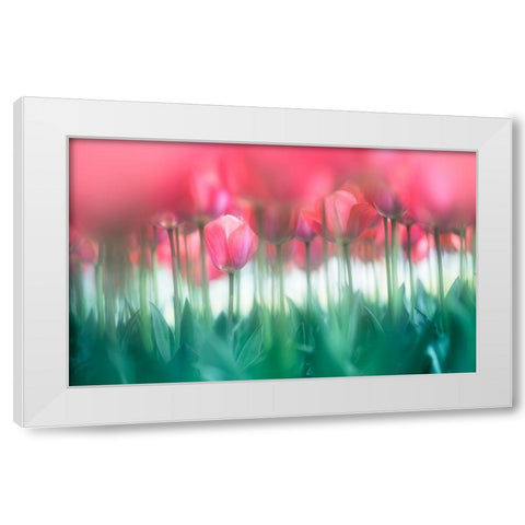 Lined tulips White Modern Wood Framed Art Print by Suzuki, Takashi