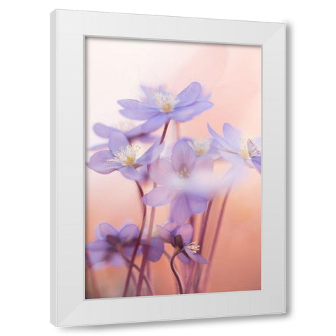 Spring Symphony White Modern Wood Framed Art Print by Dvorak, Petra