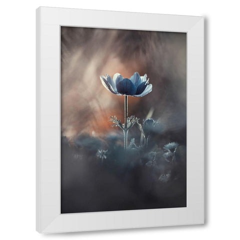 Out of Chaos White Modern Wood Framed Art Print by Bravin, Fabien