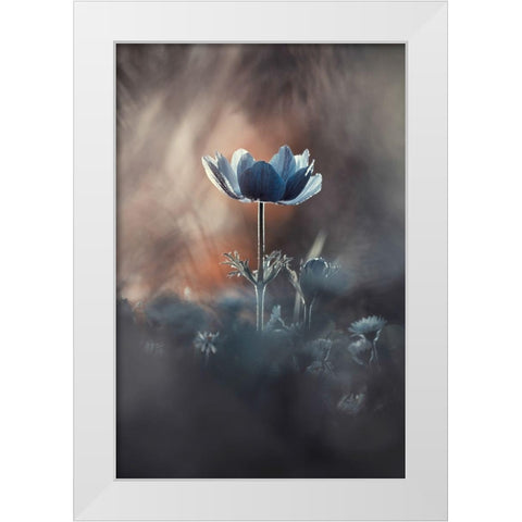 Out of Chaos White Modern Wood Framed Art Print by Bravin, Fabien