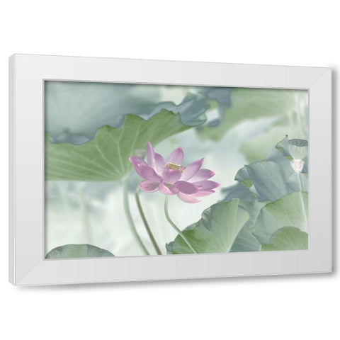 Lotus White Modern Wood Framed Art Print by Lu, Binbin