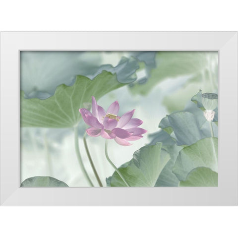 Lotus White Modern Wood Framed Art Print by Lu, Binbin