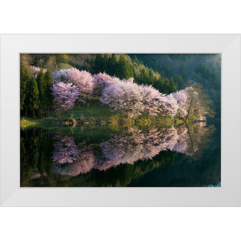Sakura White Modern Wood Framed Art Print by Ito, Tatsuki