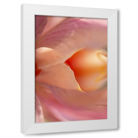 Morning mood White Modern Wood Framed Art Print by Shumilova, Ludmila