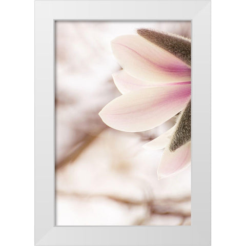 Almost spring White Modern Wood Framed Art Print by Shumilova, Ludmila