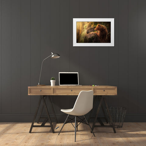 Brown bear during sunset White Modern Wood Framed Art Print by Saavedra Ruiz, Sergio