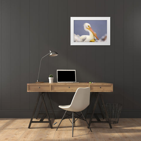 White Pelican White Modern Wood Framed Art Print by Fitzharris, Tim