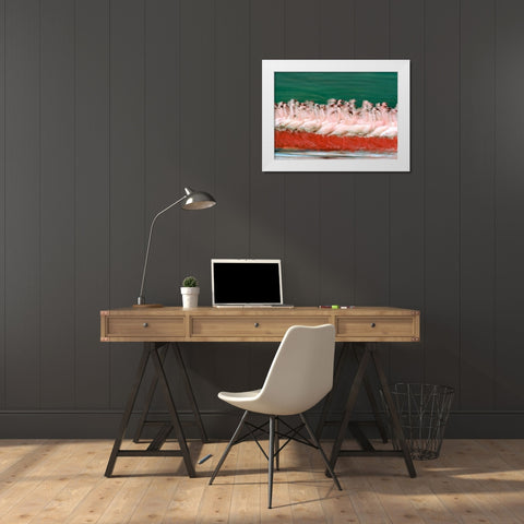 Lesser Flamingos Parading-Kenya White Modern Wood Framed Art Print by Fitzharris, Tim