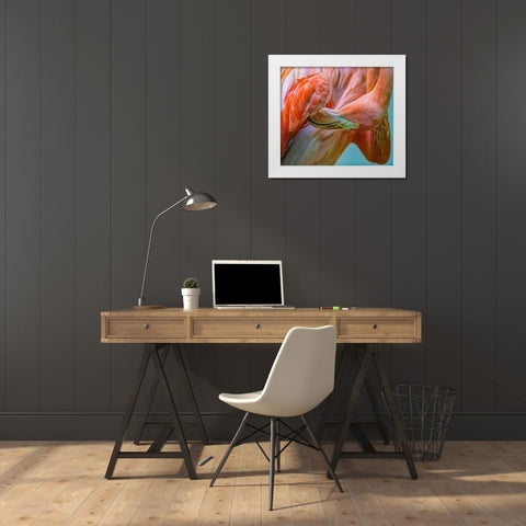 Caribbean Greater Flamingo Preening White Modern Wood Framed Art Print by Fitzharris, Tim