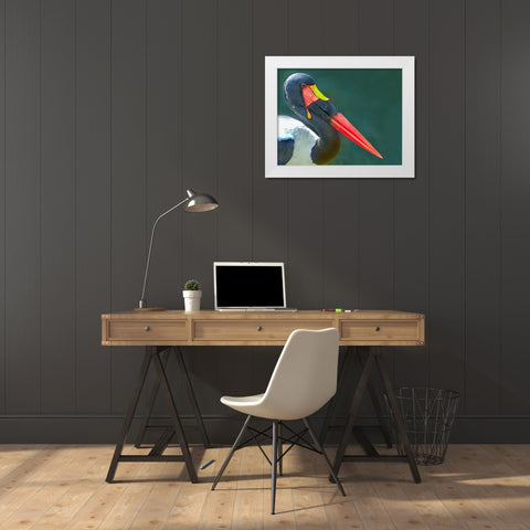 Saddle-billed Stork-Kenya II White Modern Wood Framed Art Print by Fitzharris, Tim