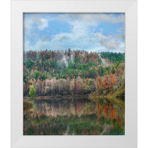 Cassatot Point-Gillham Lake-Arkansas White Modern Wood Framed Art Print by Fitzharris, Tim