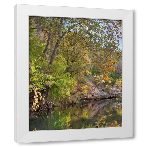 Crooked Creek near Harrison-Arkansas White Modern Wood Framed Art Print by Fitzharris, Tim