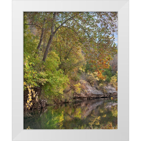 Crooked Creek near Harrison-Arkansas White Modern Wood Framed Art Print by Fitzharris, Tim